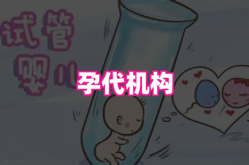 生殖助孕网站 1